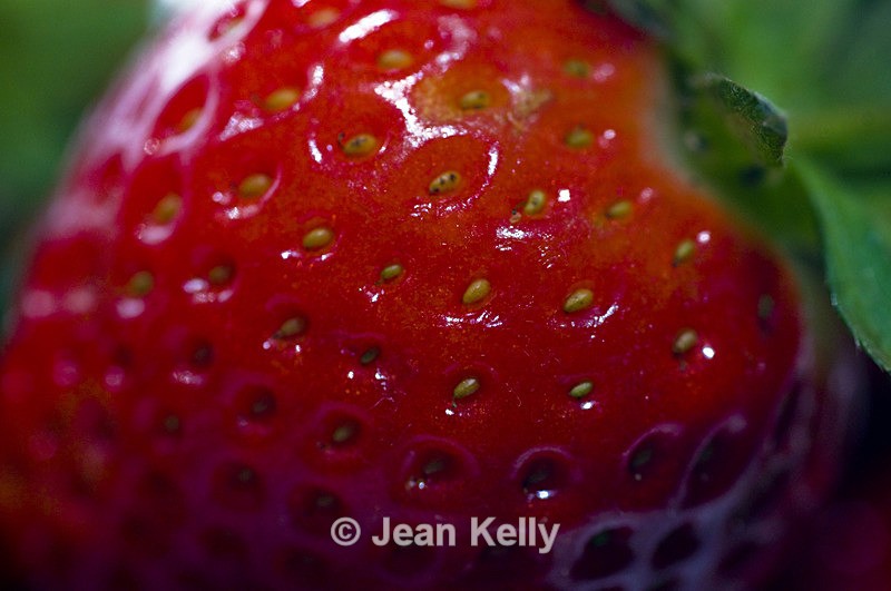 Strawberry - 5460 - Fruit