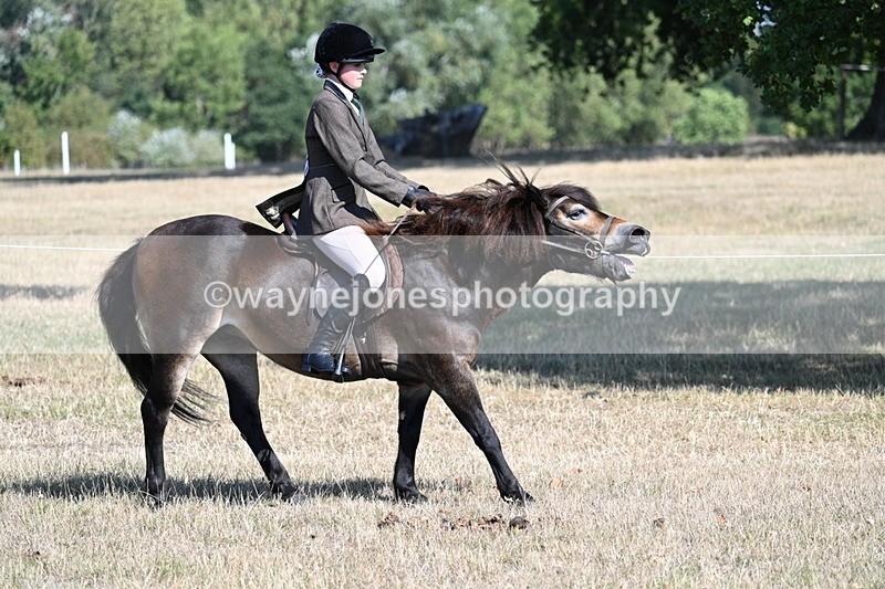 WJ7_3492 - Class 9 Mountain & Moorland Ridden