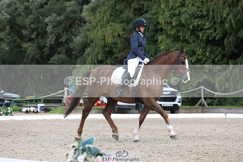 230812-134645-04309 - Cls 5 Novice Bronze 13.40 to 14.45 break