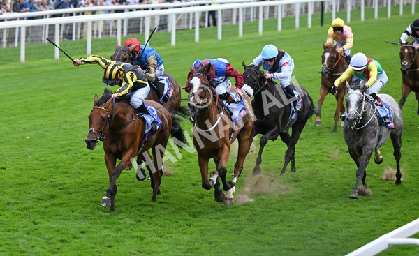 220825-005 Asgards Captain - Race 1 1.50pm Sky Bet Handicap