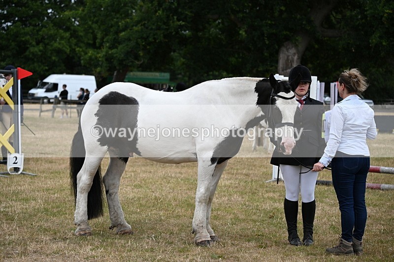 WJ6_4350 - Class 10 Coloured In-hand