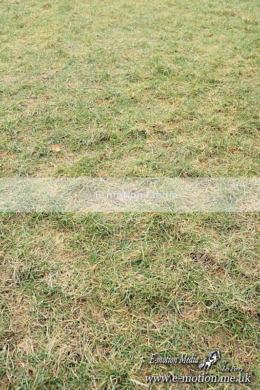 PtPres 16022519 - Presentations Combined Services PtP 16/02/25