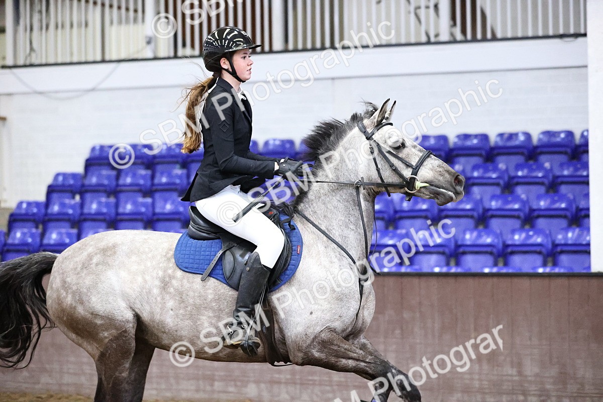 SBM_000351 - Class 2 - Pony British Novice - 80cm