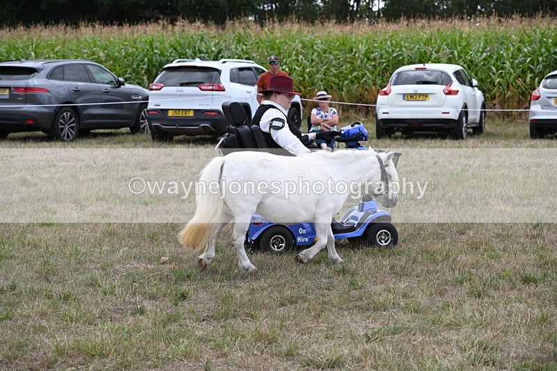 WJ6_6049 - Class 19 In-hand Veterans (Uploaded correct folder)