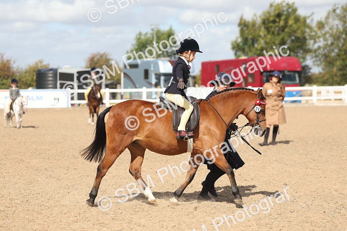 SBM_23148 - Class 806 - Young Rider 10ry and Under