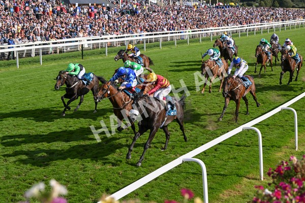 240824-Race 6-Tropical Storm-1852 - Race 6 4.45pm Julia Graves Roses Stakes