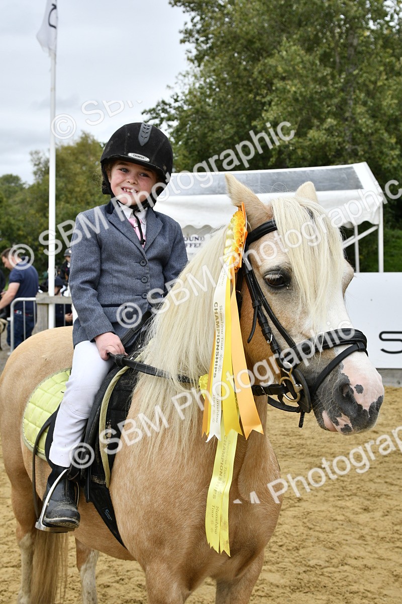 SBM_66250 - J2a mini Tour Junior Pony 30cm Championship