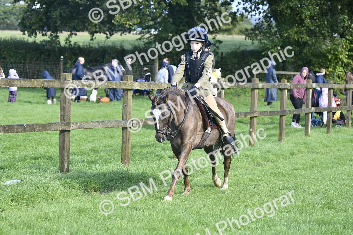 SBM_37226 - S31 - Novice & Newcomer Working Hunter Pony