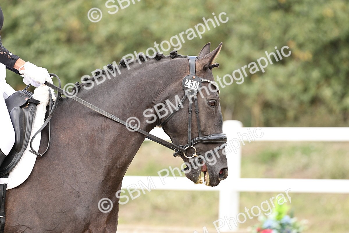 SBM_019569 - Class 18 - Elementary 5