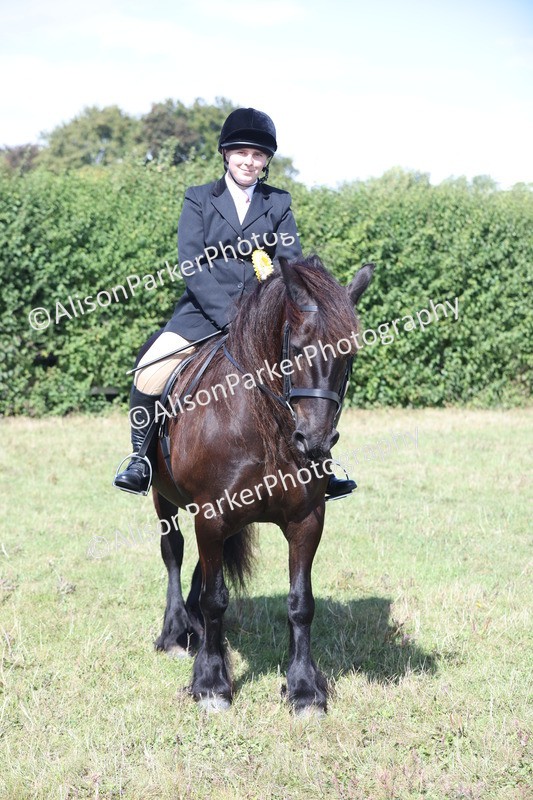20250831-2557 - Class 16 - Family Pony