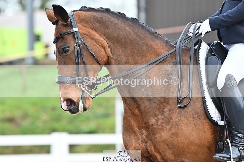 240218A-132723-07633 - 194-Sarah.Grindle-Saffron.XII