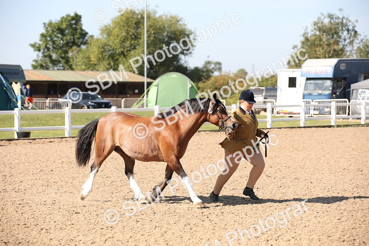 SBM_02692 - Class 16 IH M&M Wildcard