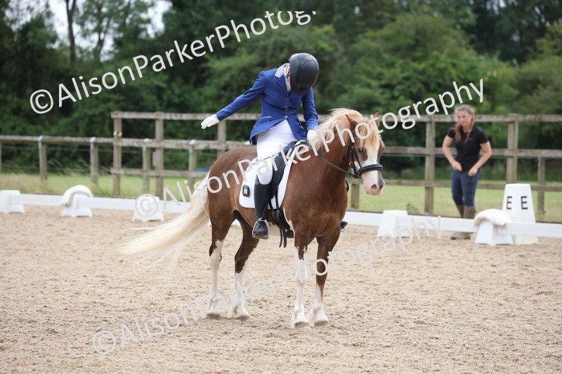 20250614-1514 - Class 7 - Elementary 2