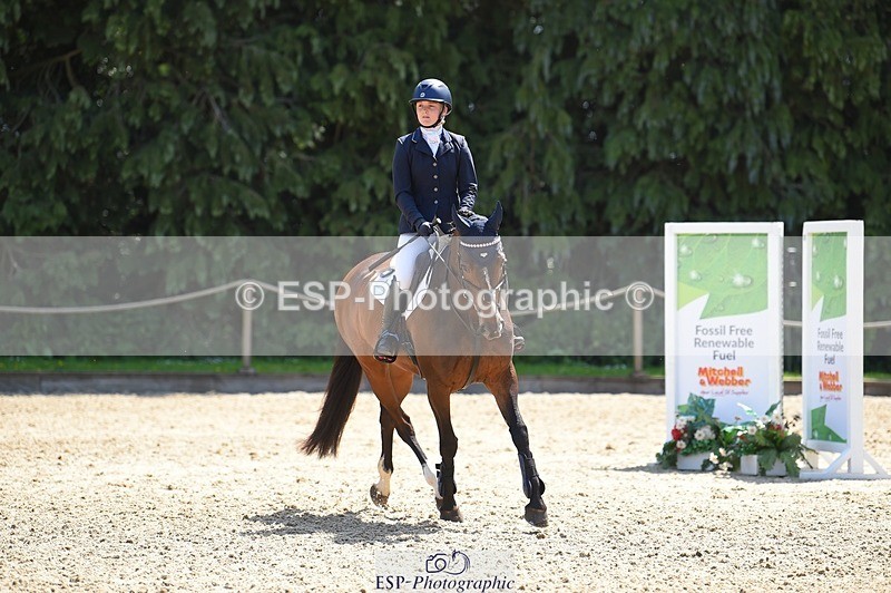 230528-112504-15199 - 379-QUIZICAL_Z-Alice_Hallows-SUNTrotUp+SJ