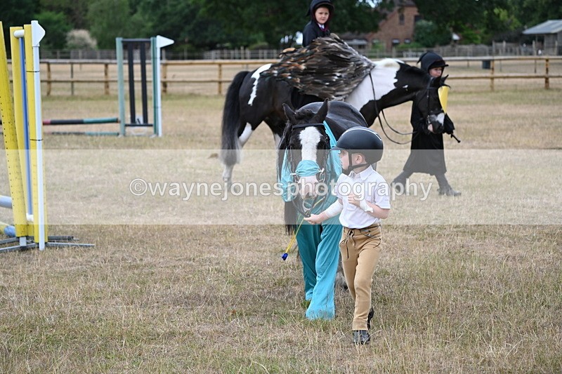 WJ6_8787 - Class 11 Fancy Dress