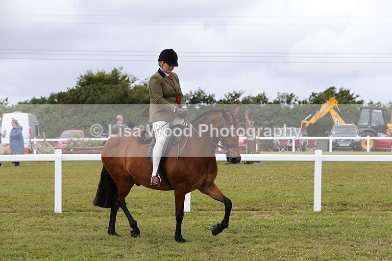 1X9A4242 - Plaited Ridden Championship