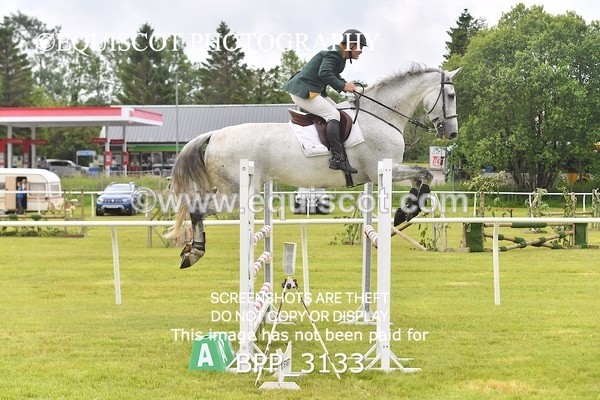 BPP_3133 - CLASS 2 SENIOR FOX/1.20M OPEN