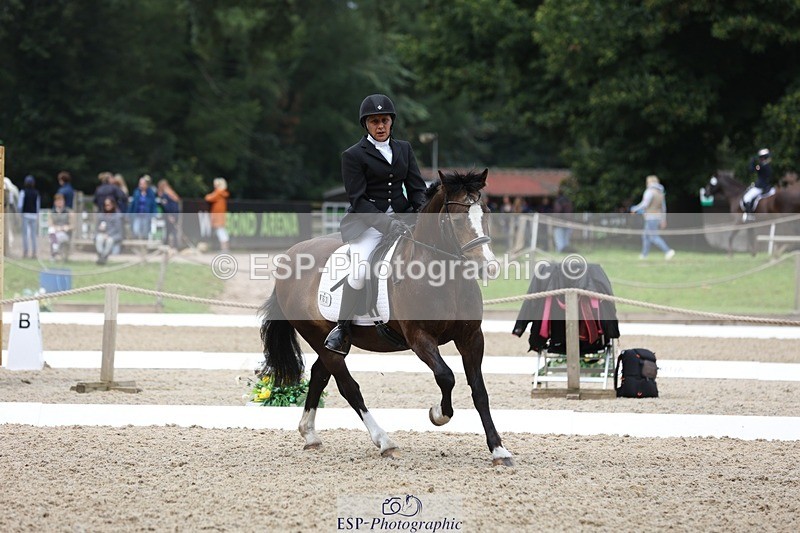 230812-102536-03219 - Cls 5 Novice Bronze Start to 10.55 break