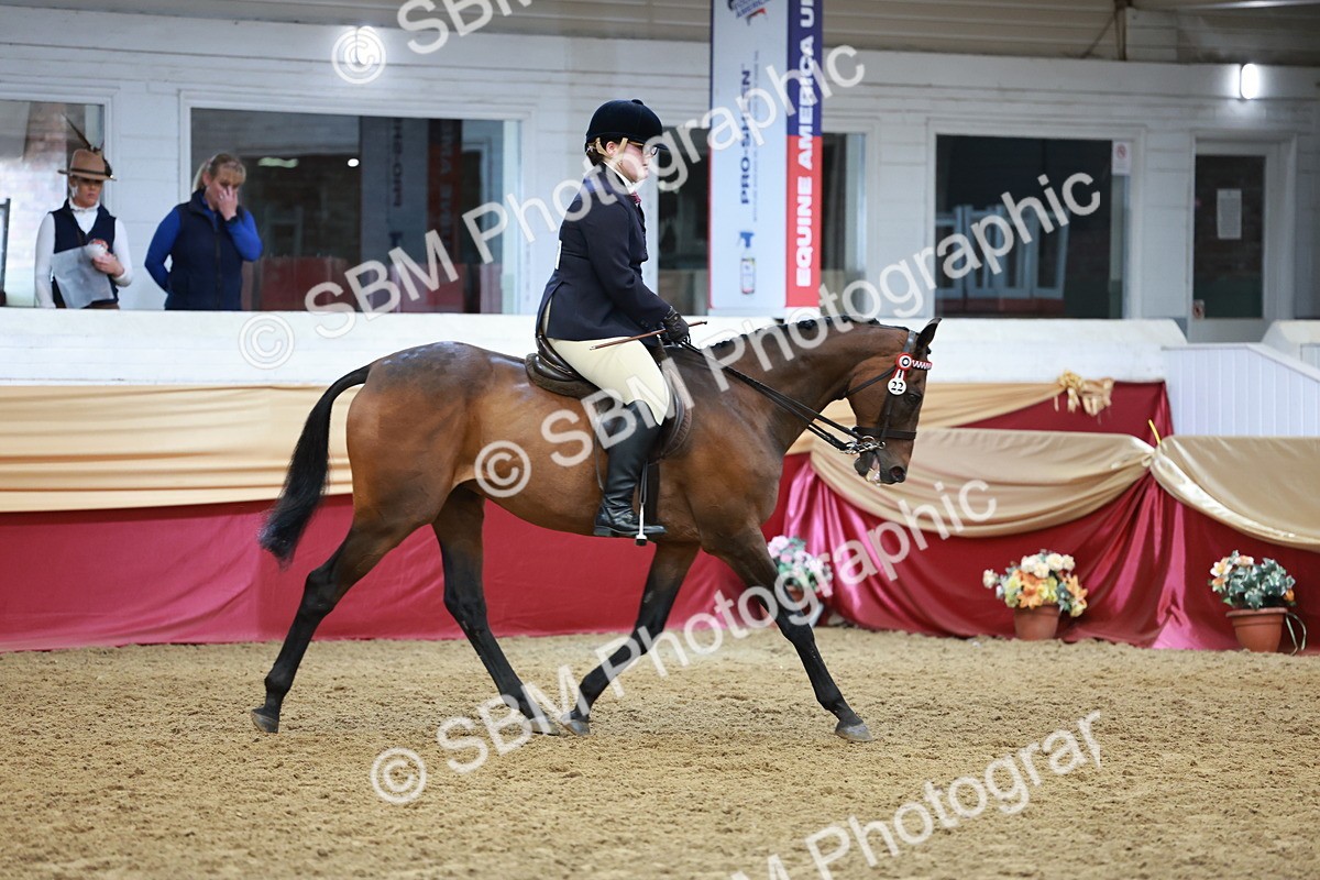 SBM_14953 - Class 108 - Ridden Retired Racehorse