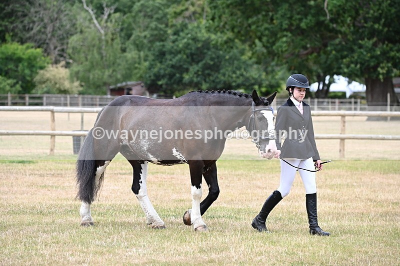 WJ6_4551 - Class 10 Coloured In-hand