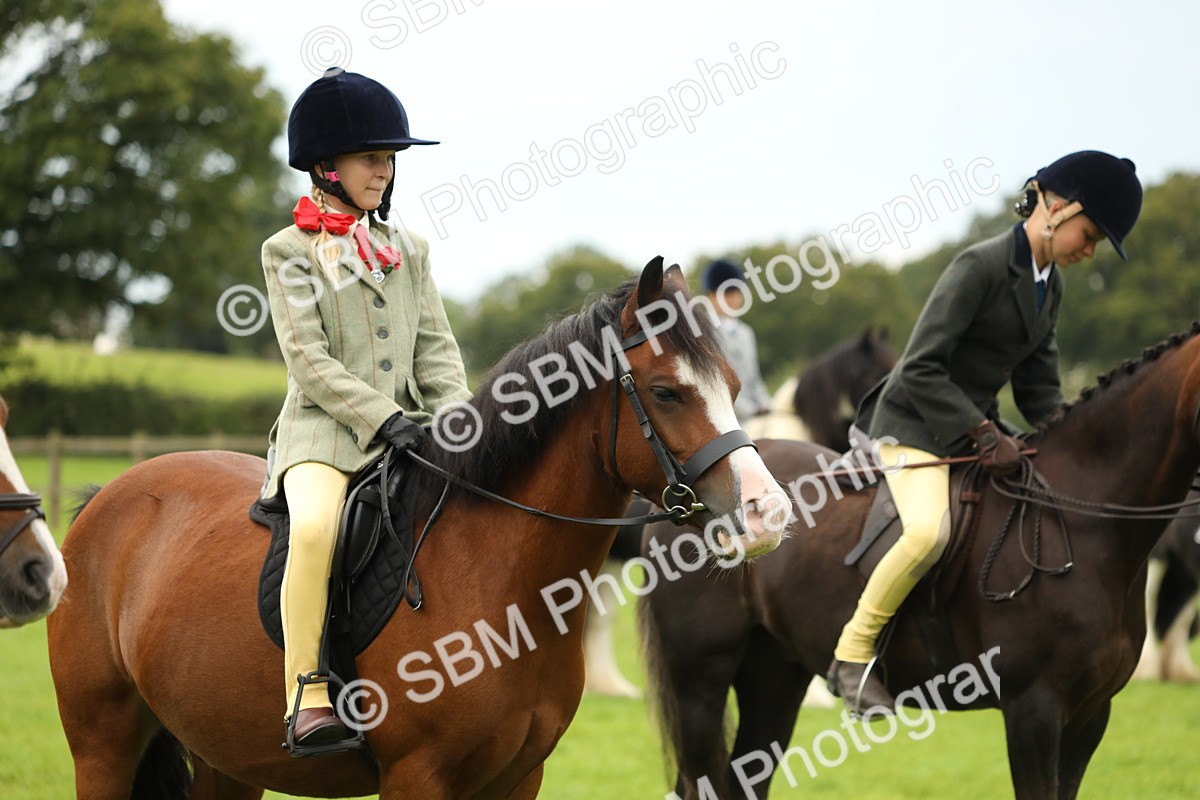SBM_71385 - S41 - Ridden Equitation (Best Rider)