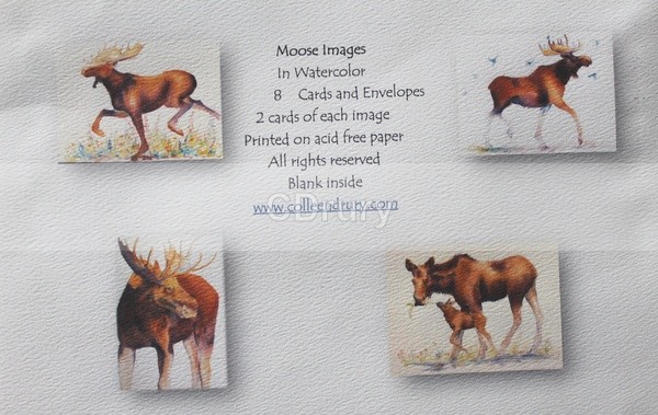 MOOSE PACKAGE of  NOTECARDS - Notecard Packages (click on the image to see your options)