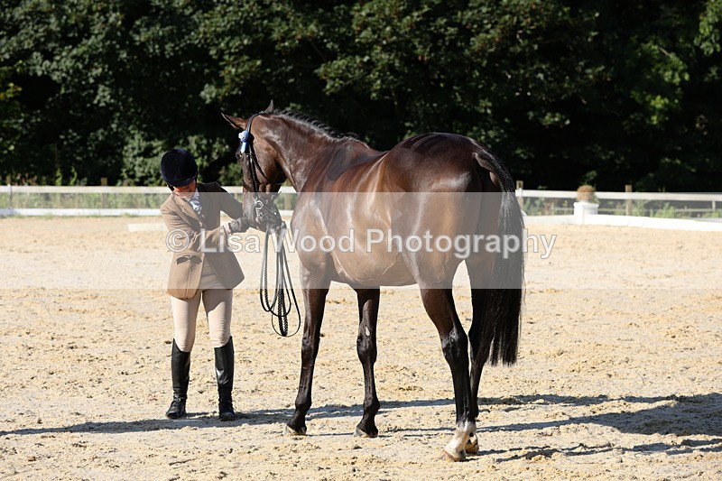 1X9A7623 - Class 7: Novice Ridden Hunter/Hack/Cob/Riding Horse