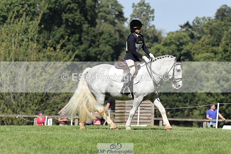 250823A-105713-27844 - Arena D