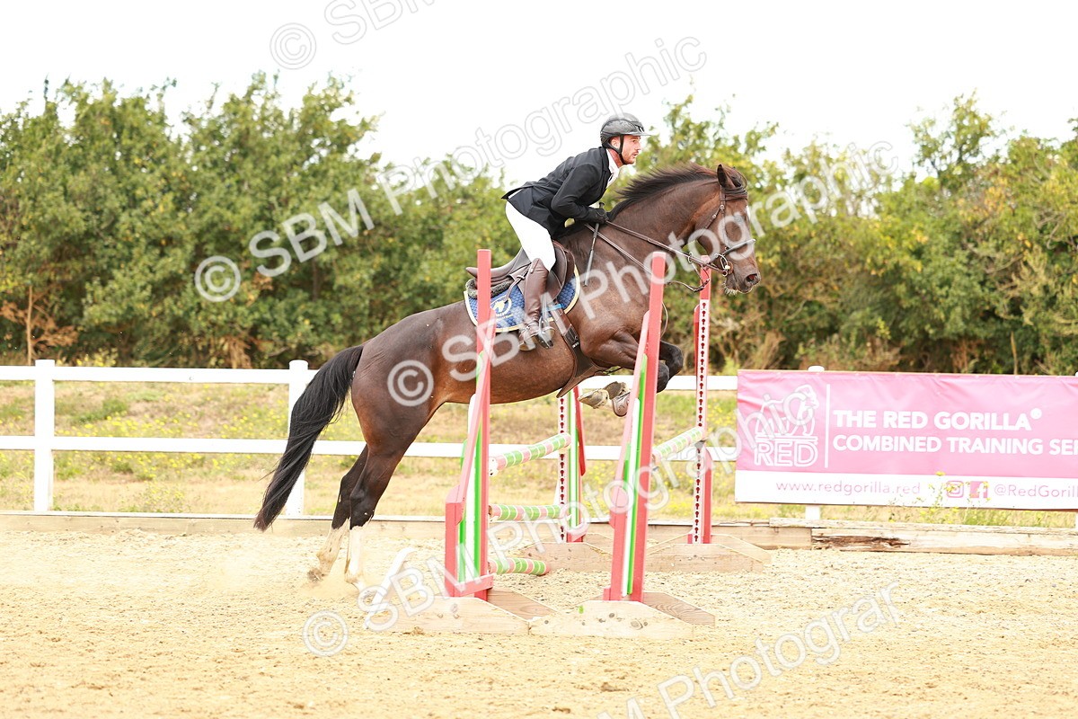 SBM_005350 - Class 2 - Senior British Novice - 90cm