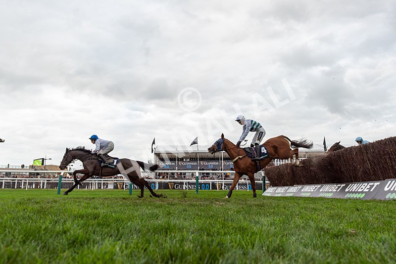 161125-Race 4-Nassalam-3034 - Race 4