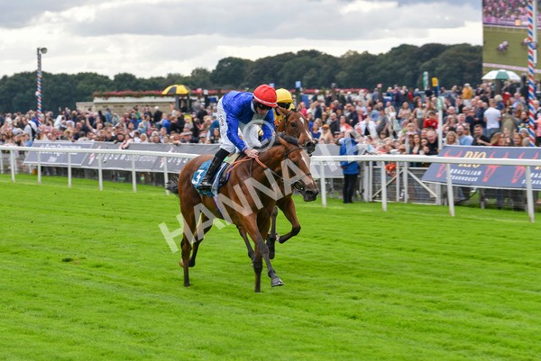 230923-Race 1-Invincible Molly-5871 - Race 1 2.00pm Jigsaw Sports Branding EBF Fillies' Novice Stakes