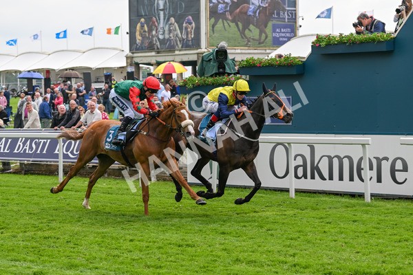 160524-Race 2-Point Lynas-5441 - Race 2 2.45pm Oakmere Homes Hambleton Handicap