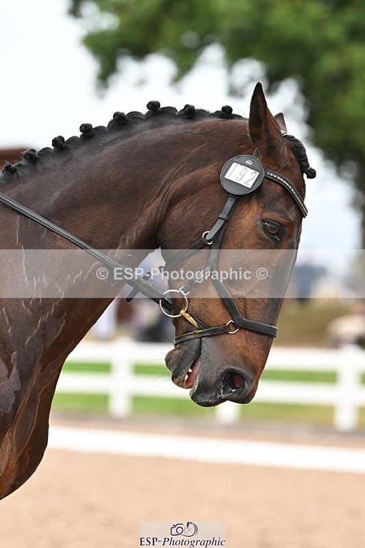 250705-175528-02738 - N1 Section BDNOV1 1350 to 15.28