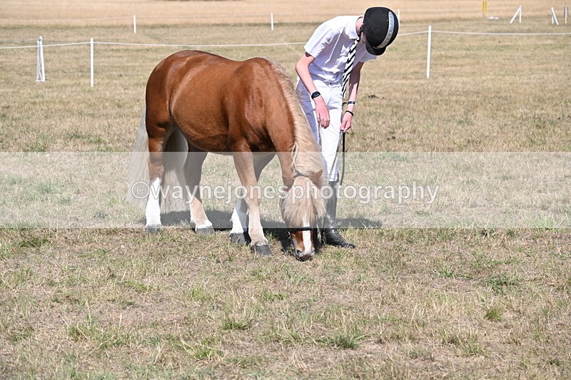 WJ6_9399 - Class 40 Cheekiest Pony/Horse