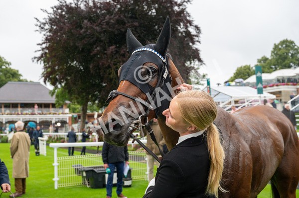 130724-Race 3-Enfjaar-9312 - Race 3 3.10pm John Smith's Cup Handicap