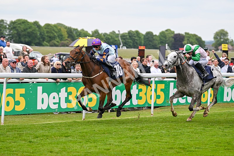 240525-Race 5-Mysteryofthesands-1563 - Race 5