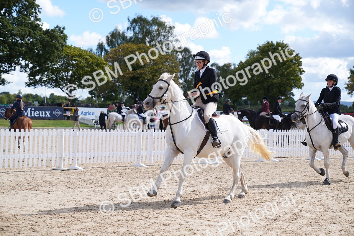 SBM_05204 - J35 Veteran 60cm Championship