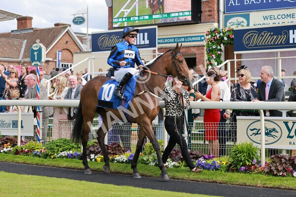 yr21052022r5-12 - Race 5: 4:07pm Phoebe Johnson Celebration EBF Restricted Novice Stakes