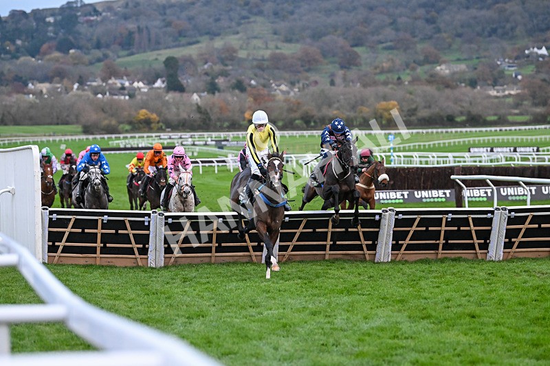 171124-Race 5-Burdett Road-4273 - Race 5