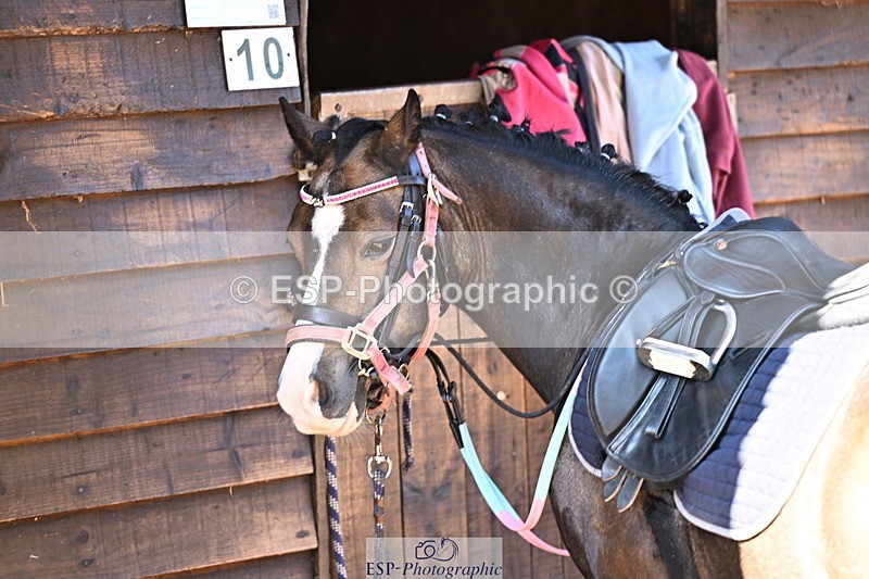 240729B-094331-01811 - Monday Stable Shots