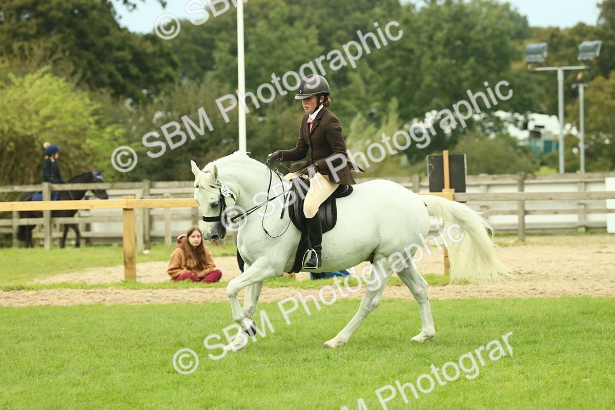SBM_71985 - S60 - Mountain & Moorland Ridden Large Breeds