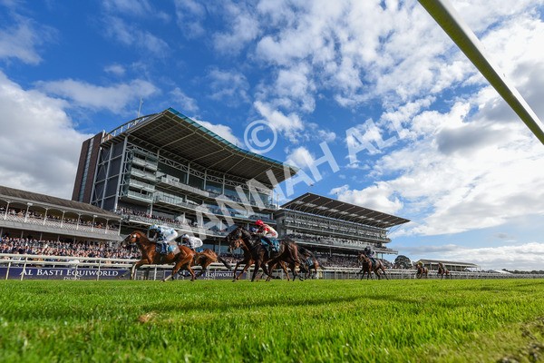 141023-Race 2-Whiskey Pete-3905 - Race 2 1.50pm Play Coral 'Racing-Super-Series' For Free Nursery Handicap