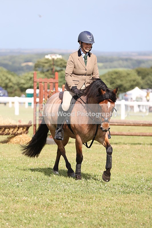 JPP_2643 - Class 20: Working Hunter 70cm