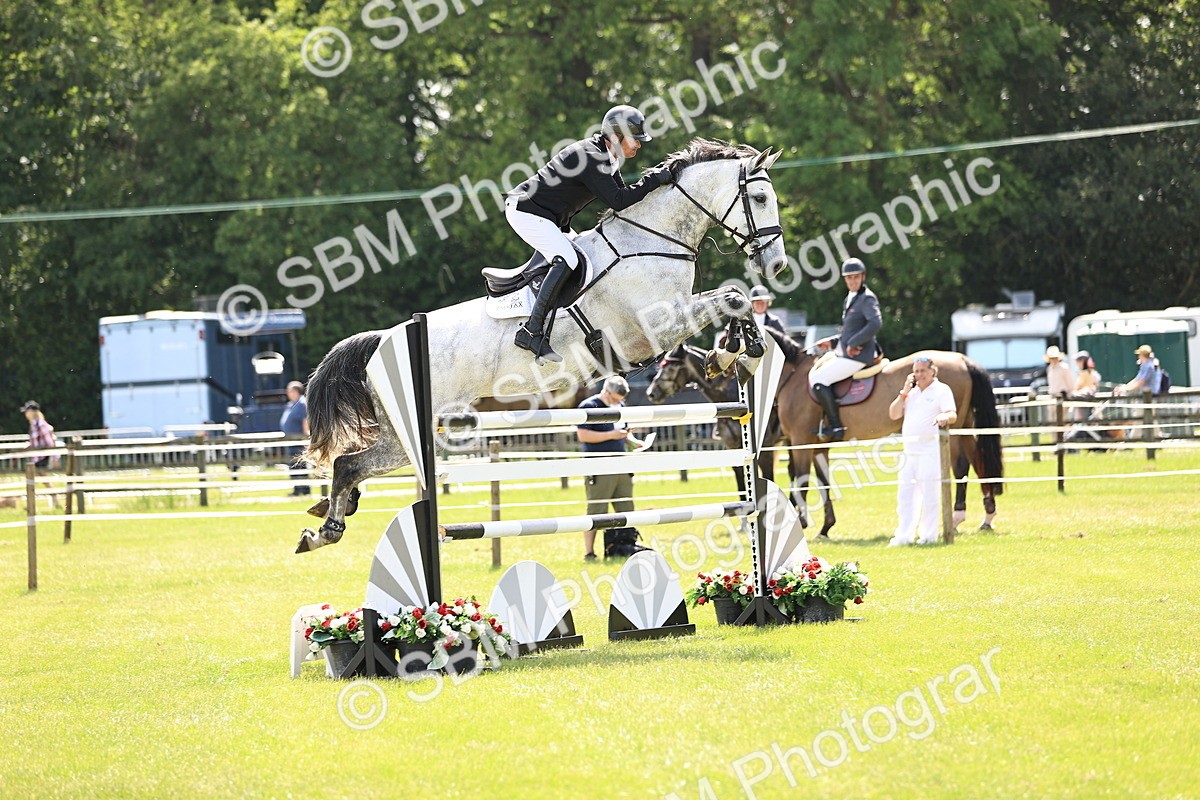 SBM_04045 - Class 201 - British Horse Feedds Speedi Beet HOYS Grade C