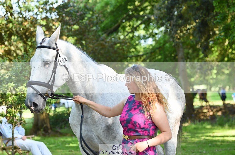 230524-162622-00870 - 102-BANDITO_VAN_POLDERZICHT-Grace_Taylor-WEDTrotUp+DR