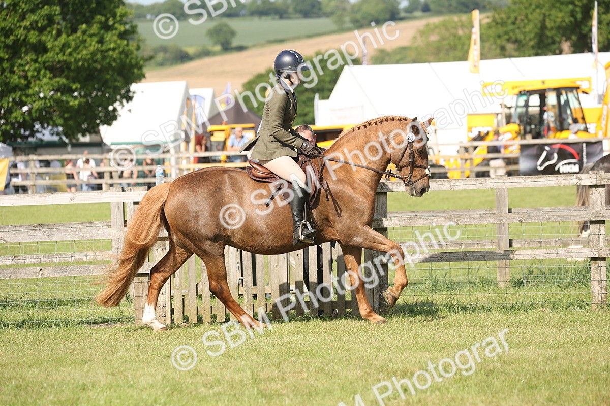 SBM_09767 - Class 33-38 - SSADL RIHS Qualifiers