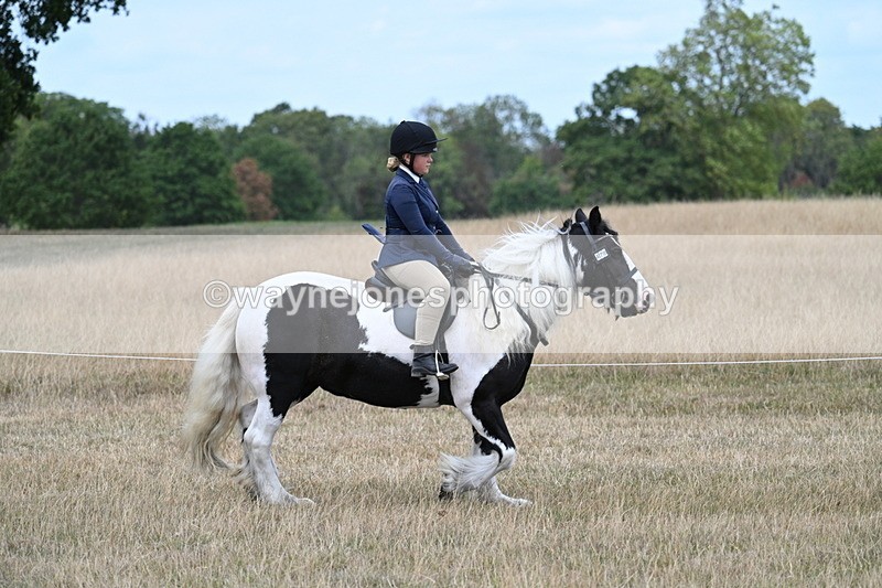 WJ7_4801 - Class 12 Ridden Cob