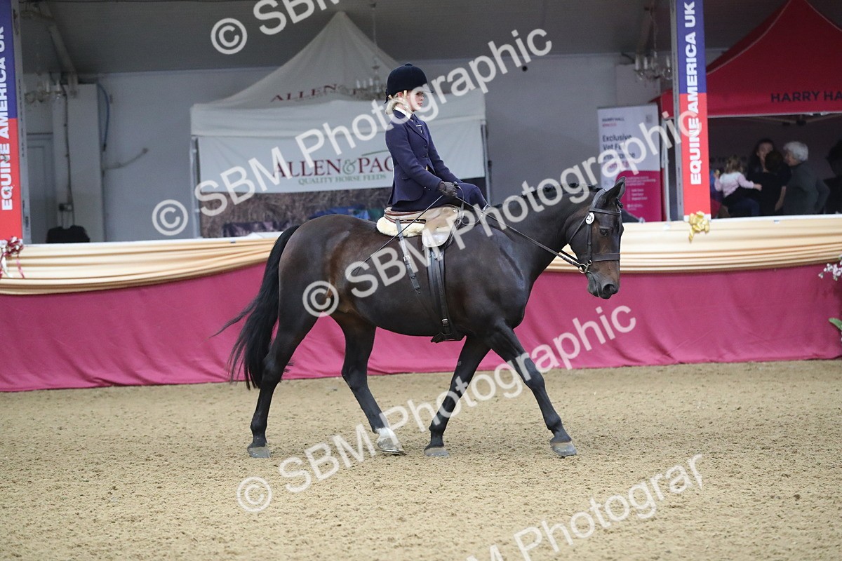 SBM_09326 - Class 101 Equitation (best rider), Junior