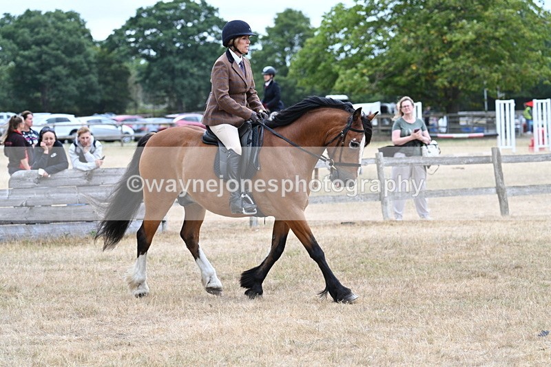 WJ7_0564 - Class 6 Ridden Mountain and Moorland