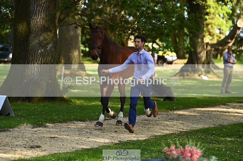 230524-172304-01476 - 180-GUEULE_DE_REVE-Arthur_Duffort-WEDTrotUp+DR